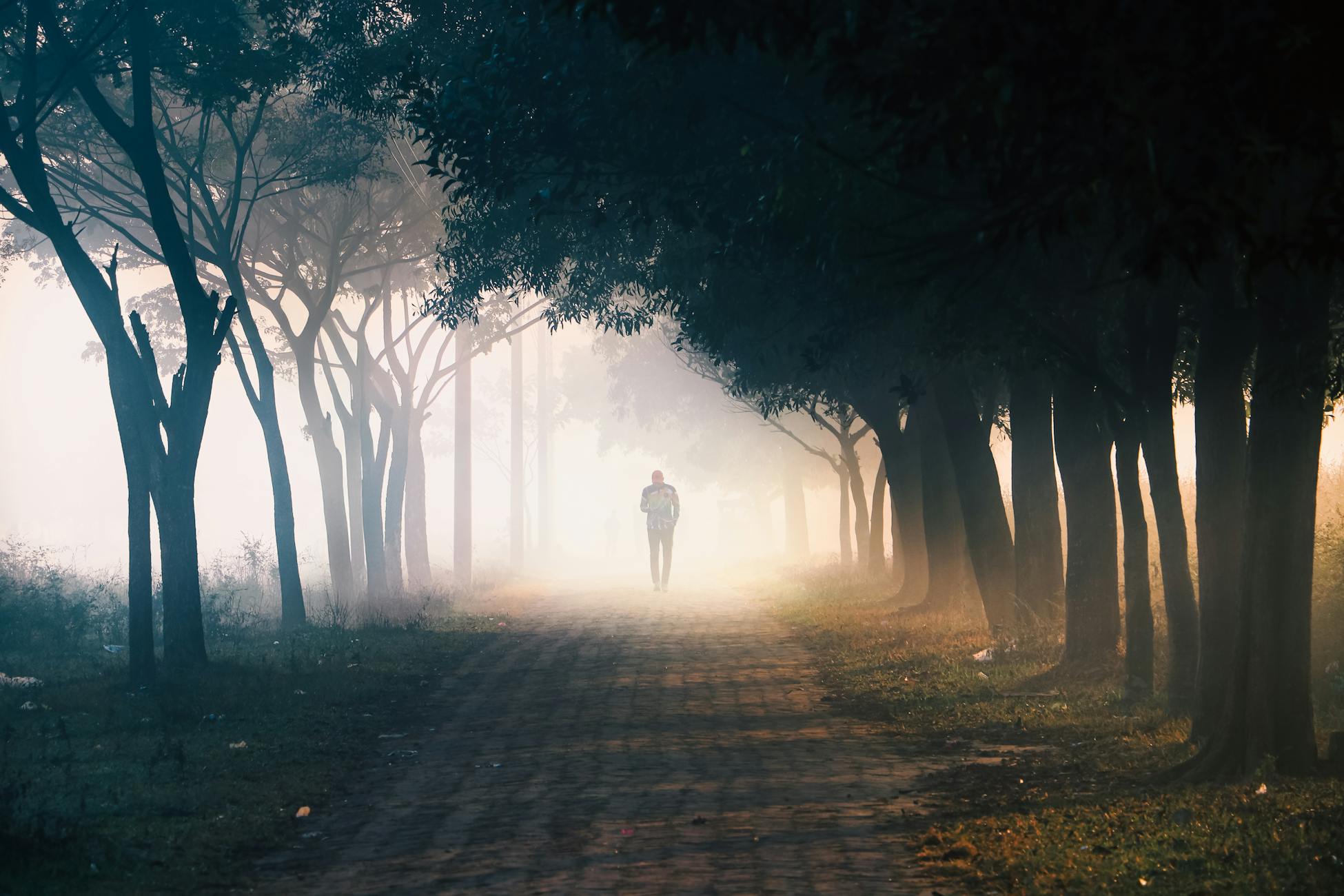 A lone person walks along a foggy, tree-lined path in Dhaka during a serene winter morning.
