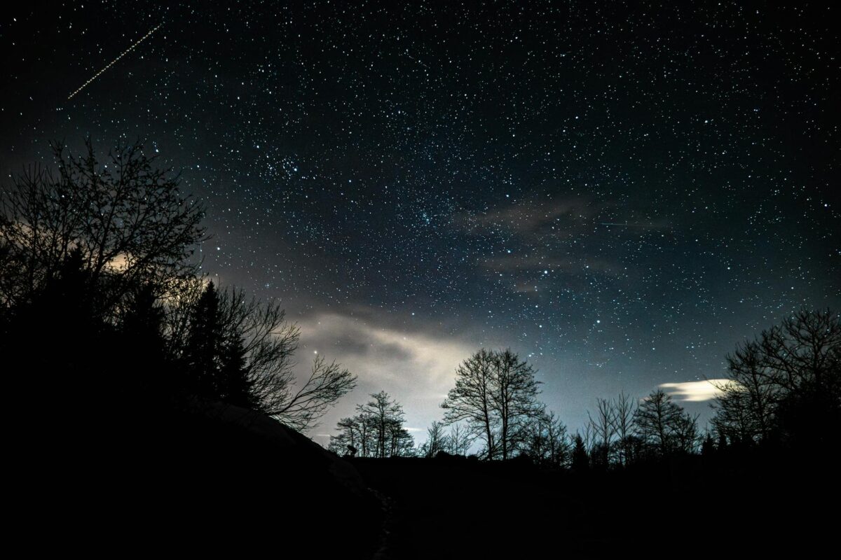 Starry night sky over silhouetted trees with a shooting star.